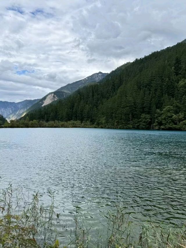 🏞️Magical Valley In Sichuan