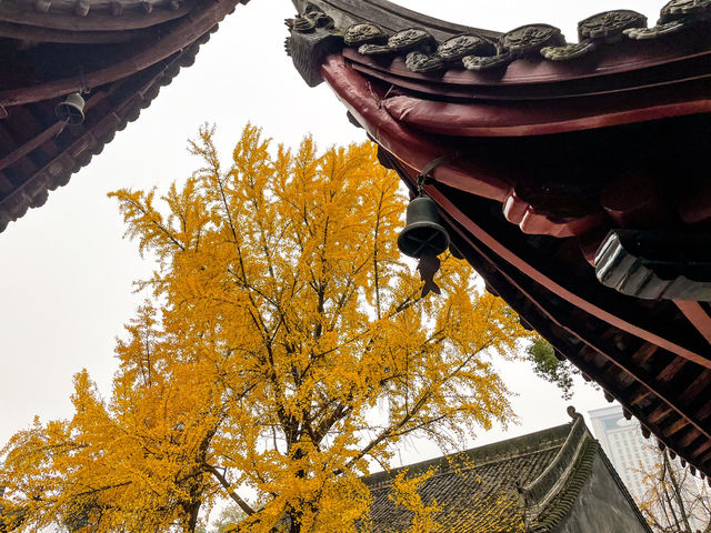 文殊院...청두