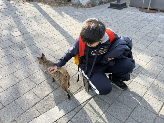 釜山親子遊