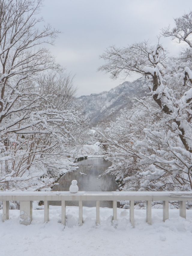 진짜 등산 1도 없이 만날 수 있는 눈 내린 겨울 설산🏔️❄