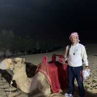 Desert Safari Adventure in a Day! 
