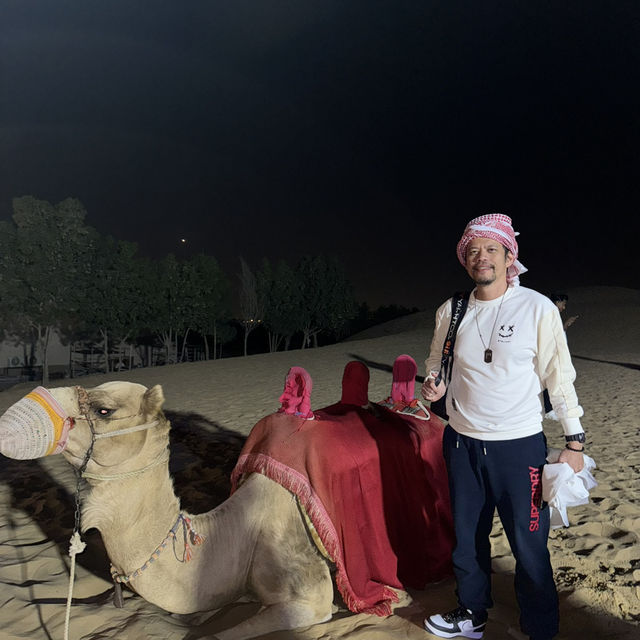 Desert Safari Adventure in a Day! 
