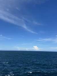🌊 찾을 때마다 좋은 곳, 와슨스 베이! 🐚✨