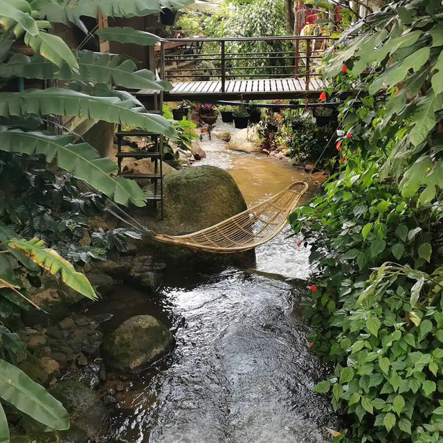 หมู่บ้านเล็กๆ ในหุบเขาที่เชียงใหม่ 🏞️