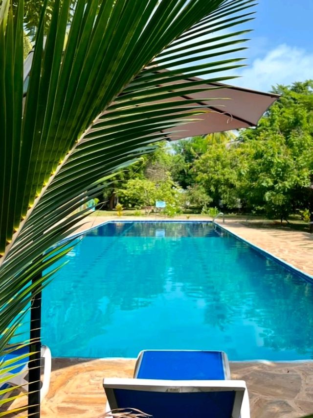 🌴 Awesome Stay in Zanzibar – A Tropical Paradise! 🏝️✨