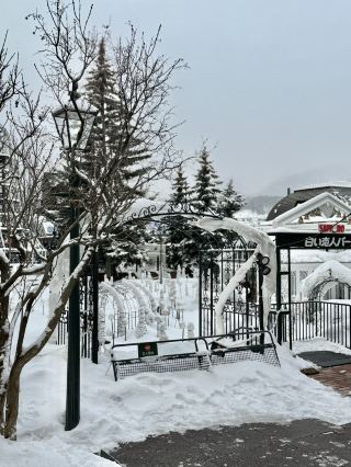 Sapporo 4-Day Itinerary