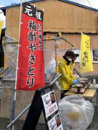 南部（みなべ）梅林へ今年初めての梅を見に❤️