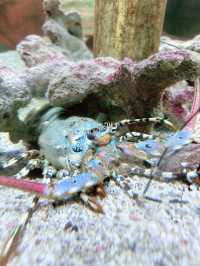 Dive into History at Labuan Marine Museum