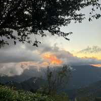 去露營吧⛺️桃園拉拉山的塔曼之光露營區推薦！