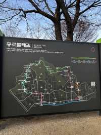 동대문역의 도심속 너무나도 조용한 쉼터 흥인지문공원🇰🇷