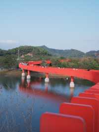 深圳虹橋公園：叢林中紅飄帶 