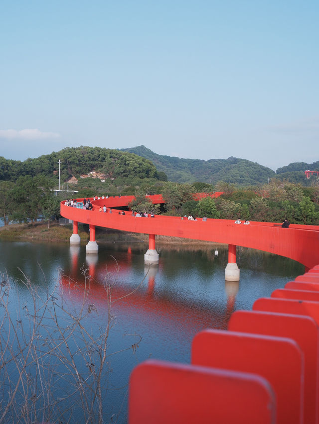 深圳虹橋公園：叢林中紅飄帶 