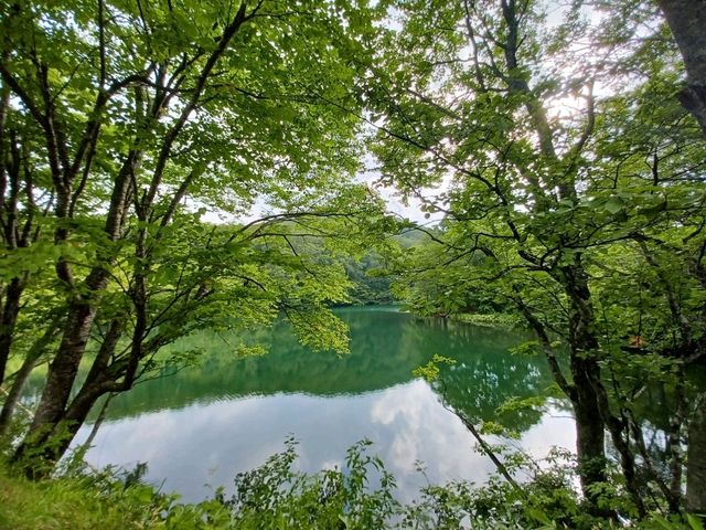 【山形市:蔵王ロープウェイとドッコ沼】絶景空中散歩♪