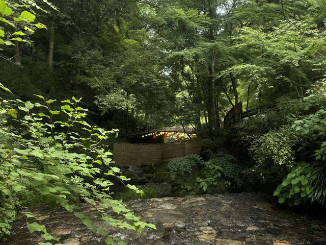 Mystical Tranquility: Exploring Mount Kifune in Kyoto