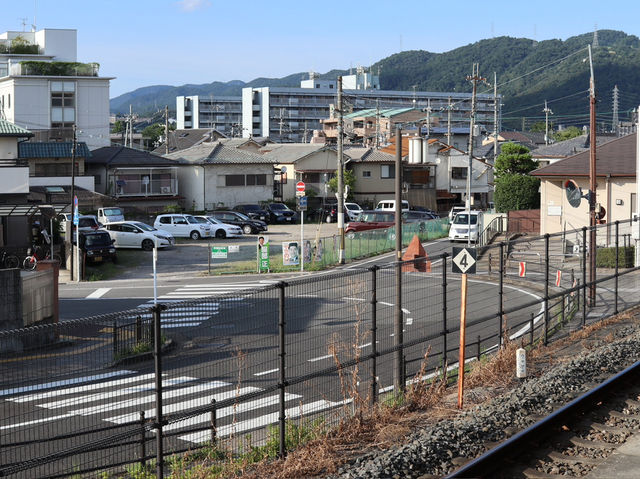 Uji: A Tranquil Escape and Japan’s Green Tea Paradise