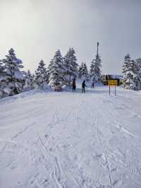 Shiga Kogen