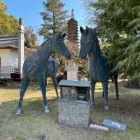 🇯🇵【香川県】四国八十八ヶ所霊場 第70番札所 本山寺
