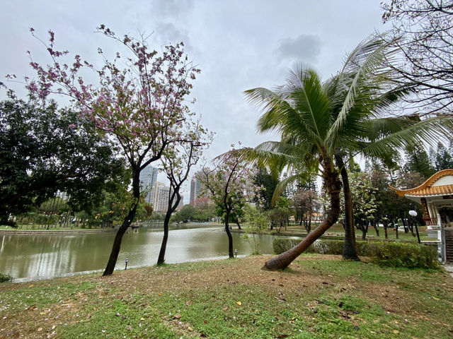 深圳週末好去處✨洪湖公園💕