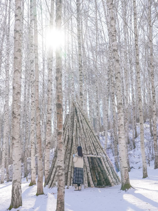 흰 빛깔 눈밭 위 새하얀 자작나무들이 속삭이는 숲❄️🤍
