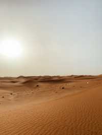 Beyond the Dunes: A Platinum Heritage Desert Adventure Like No Other 
