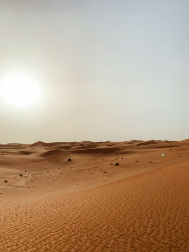 Beyond the Dunes: A Platinum Heritage Desert Adventure Like No Other 