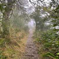 De Biesbosch National Park