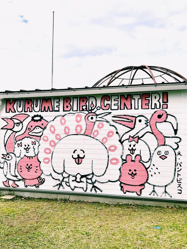 鳥好き必見！久留米市鳥類センター‪🦜‬🪽🫧