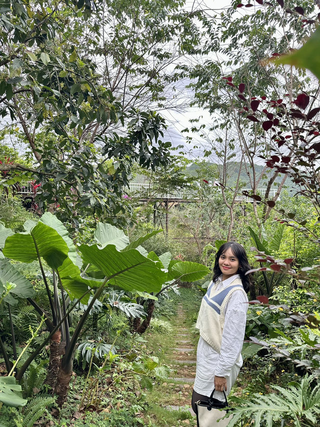 Tam Trinh Coffee in Da Lat 