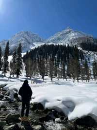 Riding Through Paradise: Horse Riding in Pahalgam