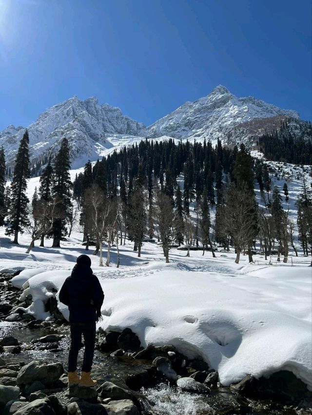 Riding Through Paradise: Horse Riding in Pahalgam