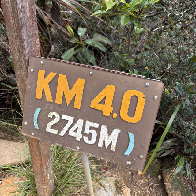 馬來西亞神山