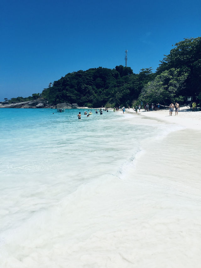 เกาะสิมิลัน น้ำใสทะเลสวย ดำน้ำฟินสุด