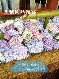 鎌倉紫陽花スポット3選