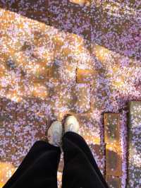 Best Spring Cafés in Seoul🌸 ☕️