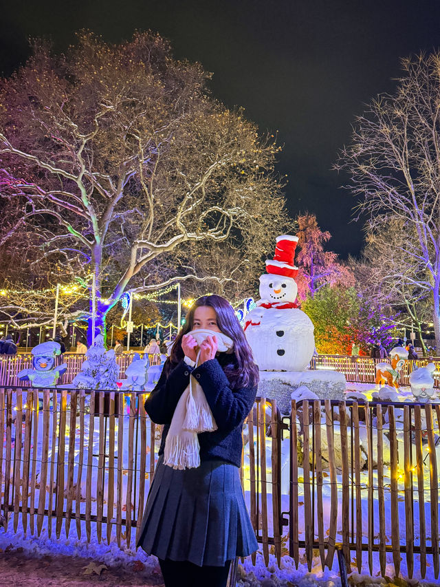 올 겨울 비엔나에 가야하는이유❤️