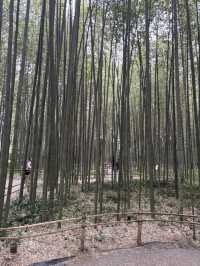 4 Days in Kyoto