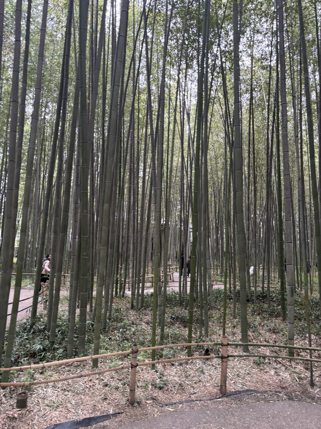 4 Days in Kyoto