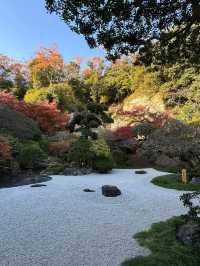 สวนไผ่เล็กๆที่วัด Hokokuji แถวๆ Kamakura