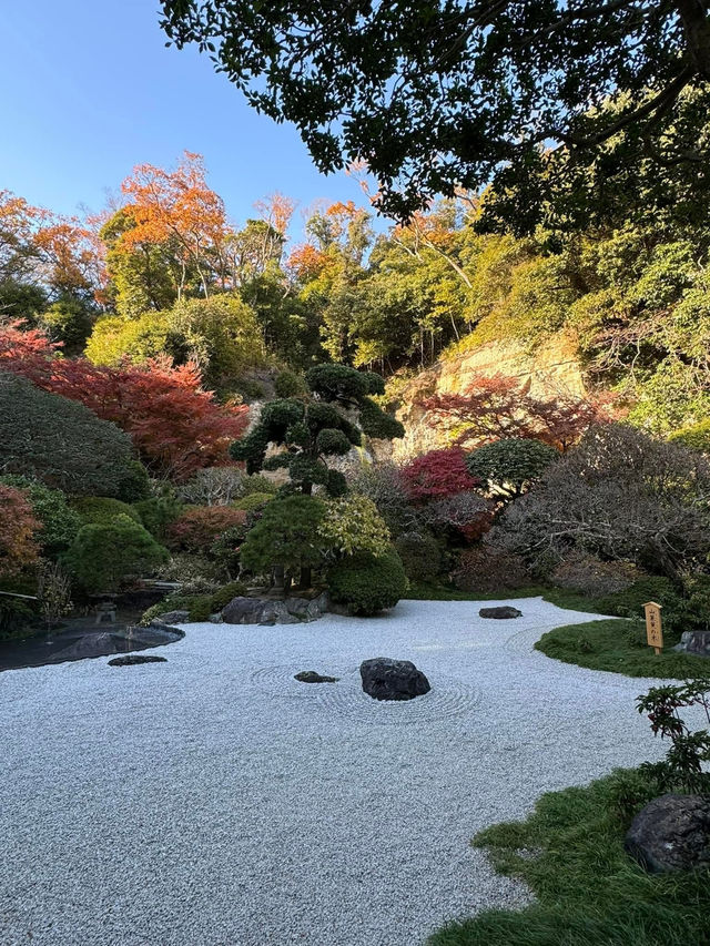 สวนไผ่เล็กๆที่วัด Hokokuji แถวๆ Kamakura