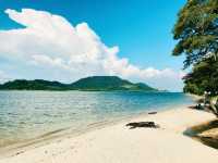 “Lumut: Spring Escape by the Sea & Hill”