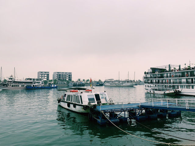 Sailing into Serenity: Ha Long Bay