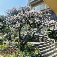 Kotohira 3 Days Travel Guide 