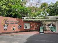 家族で楽しむ都心のリフレッシュポイント – 上野動物園で癒しのひととき