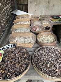Negari Luwak Coffee, Bali 