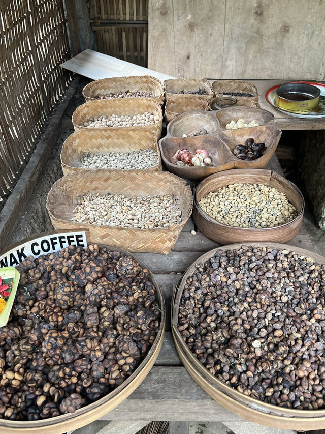 Negari Luwak Coffee, Bali 