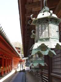 【奈良×春旅】千古の森の中の鮮やかな朱塗りの社殿	