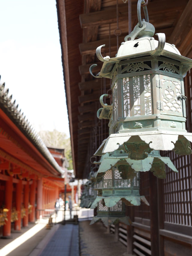 【奈良×春旅】千古の森の中の鮮やかな朱塗りの社殿	