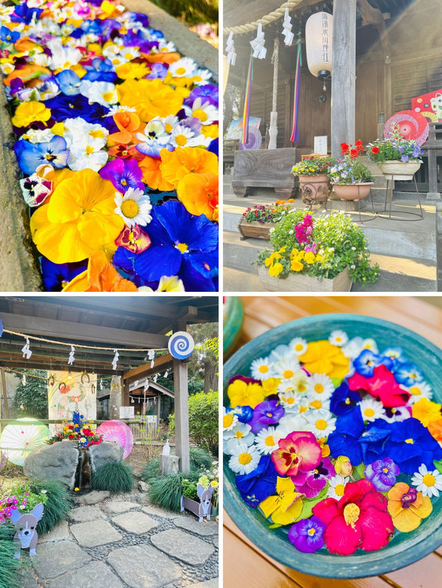 【新座】御朱印が綺麗で可愛い✨穴場神社‼️