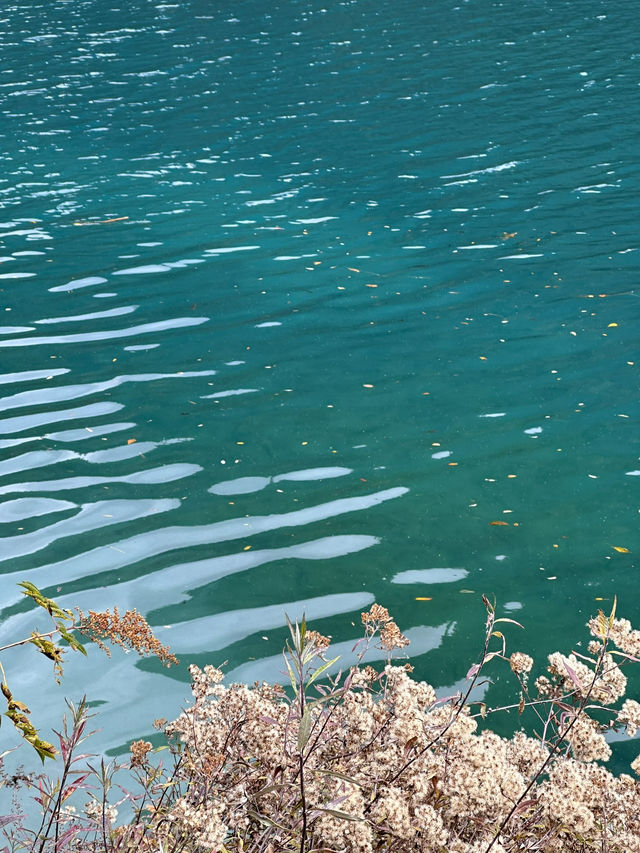 Enchanting Beauty of Jiuzhai Valley:where nature meets tranquility 