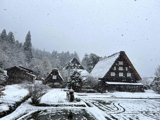 日本 名古屋 合掌村 牧歌之里 